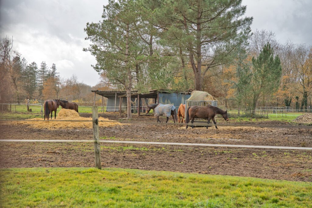 Ecurie de Neuvy en Sullias